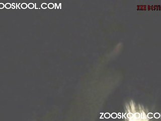 Zooskool