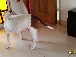 Alison Morning Haste 003