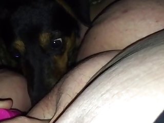 Hot Sex Animal Porn