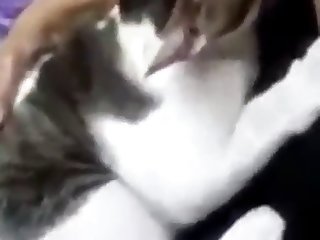 Animal Porn Xxx Video
