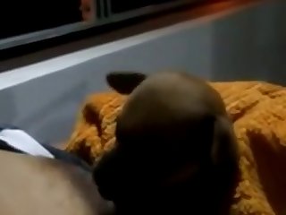Porn Animal And Men