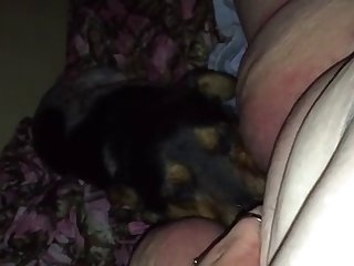 Free Anime Animal Porn