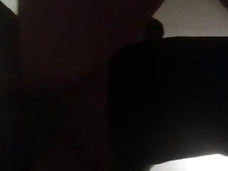 Animal Orgasms Porn