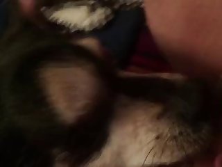 Animal Porn Apps
