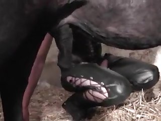 Jenny Simpson Animal Porn