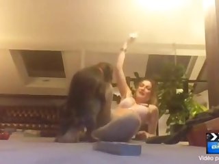 An Animal Porn