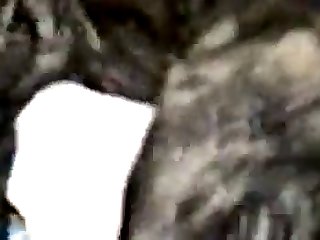 Animal Crossing Porn Live Action