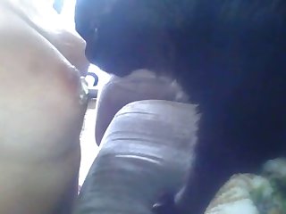 Animal Porn Sex Tube