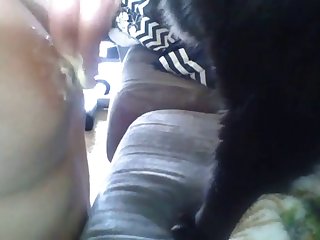 Animal Porn Sex Tube