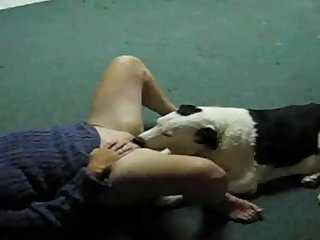 Animal Porn Cumshots