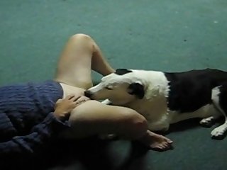 Animal Porn Cumshots
