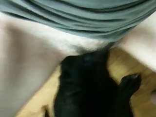 Porn With The Animal