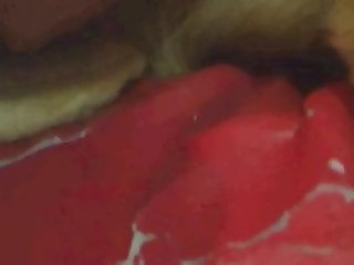 Animal Crissing Cat Porn