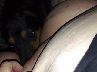Porn Animal And People