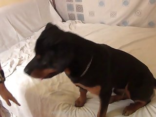 015 Zhd Bestiality Videos In Hd 03 001
