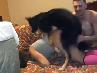 Animal Crossing Gang Bang Porn