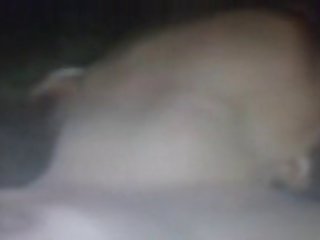 Sweetie Fox Animal Porn
