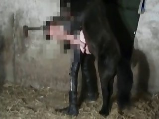 Animal Crossing Egyptian Girl Porn