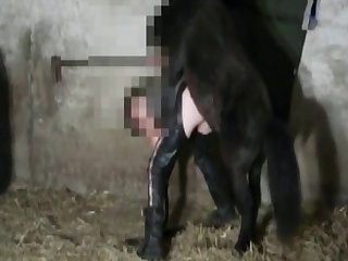 Animal Crossing Egyptian Girl Porn