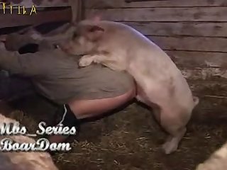 Anal Dog Zoofilia