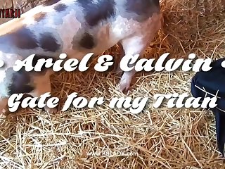 Xxx Relatos Zoofilia