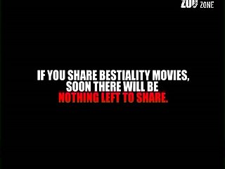 Rondo Duo -fortissimo At Dawn- [13]