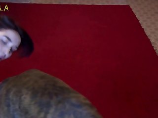 Porno Animales
