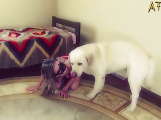 Dog Sucks Mans Dick