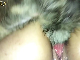 Zoolo
