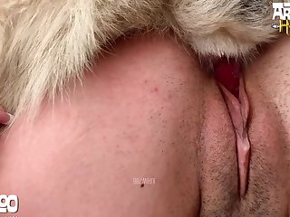 Animal Orn