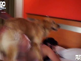 8animal.com Gifs 14and15