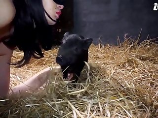 Man And Animal Porn