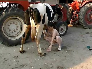 Dog Squirt Fuck