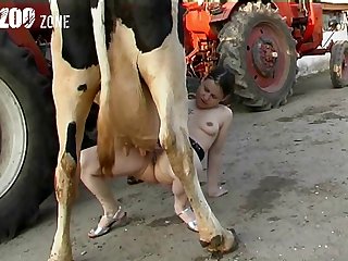 Dog Squirt Fuck