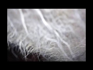 Dog Fuck Girl To Orgasm
