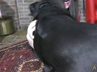 Dog Fuck Solo