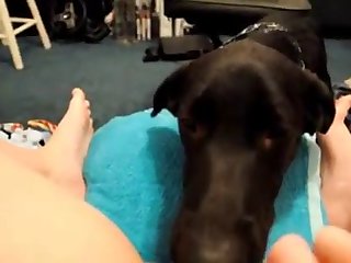 Honey And Star Dog Fuck
