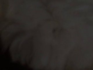 Dog Fuck In Pussy