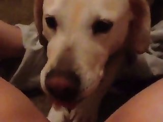 Dog Fuck Girls Xnxx