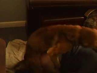 Dog Fuck Teen Gay