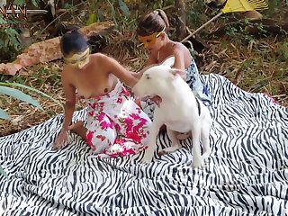 Girl Sex Animal Porn