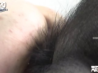Man And Animal Sex Video