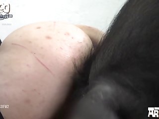 Man And Animal Sex Video