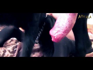 Sex With Animal Streaming