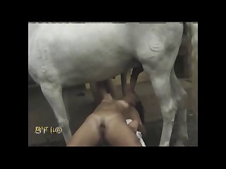 Animal Male Sex Toy
