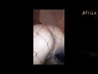 Animal Having Sex With Lady