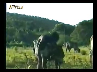 Extreme Sex With Animal