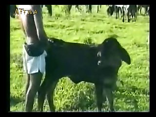 Extreme Sex With Animal