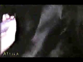 Which Animal Dies After Having Sex