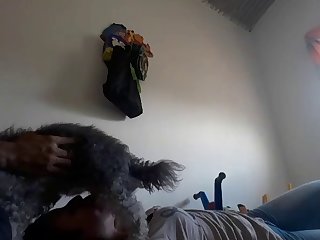 Videos Porno Zoofilia Xxx